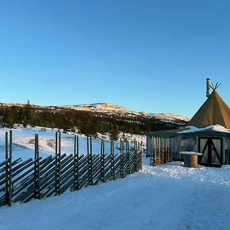 Ferienhaus With Panoramic Views In Turufjell