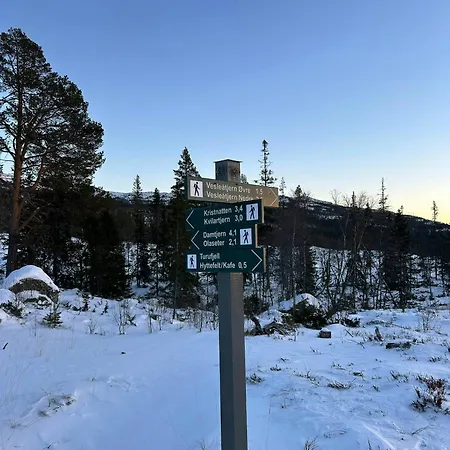 With Panoramic Views In Turufjell Flå