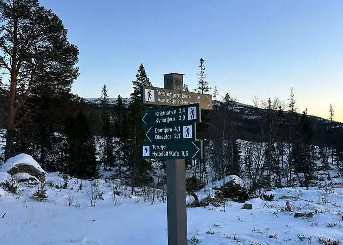 With Panoramic Views In Turufjell Flå